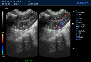 S90高端推車多普勒獸用彩超-動(dòng)物寵物B超儀掃描圖