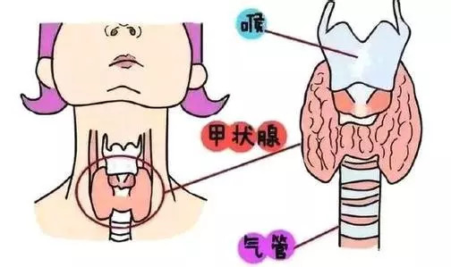 甲狀腺B超機(jī)超聲報(bào)告常見(jiàn)的六大問(wèn)題